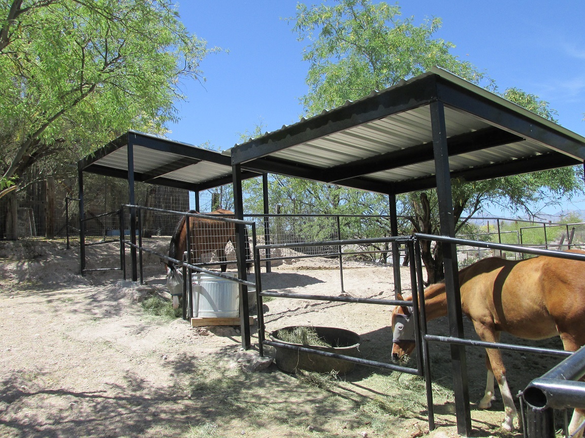 Equestrian Shade Structure