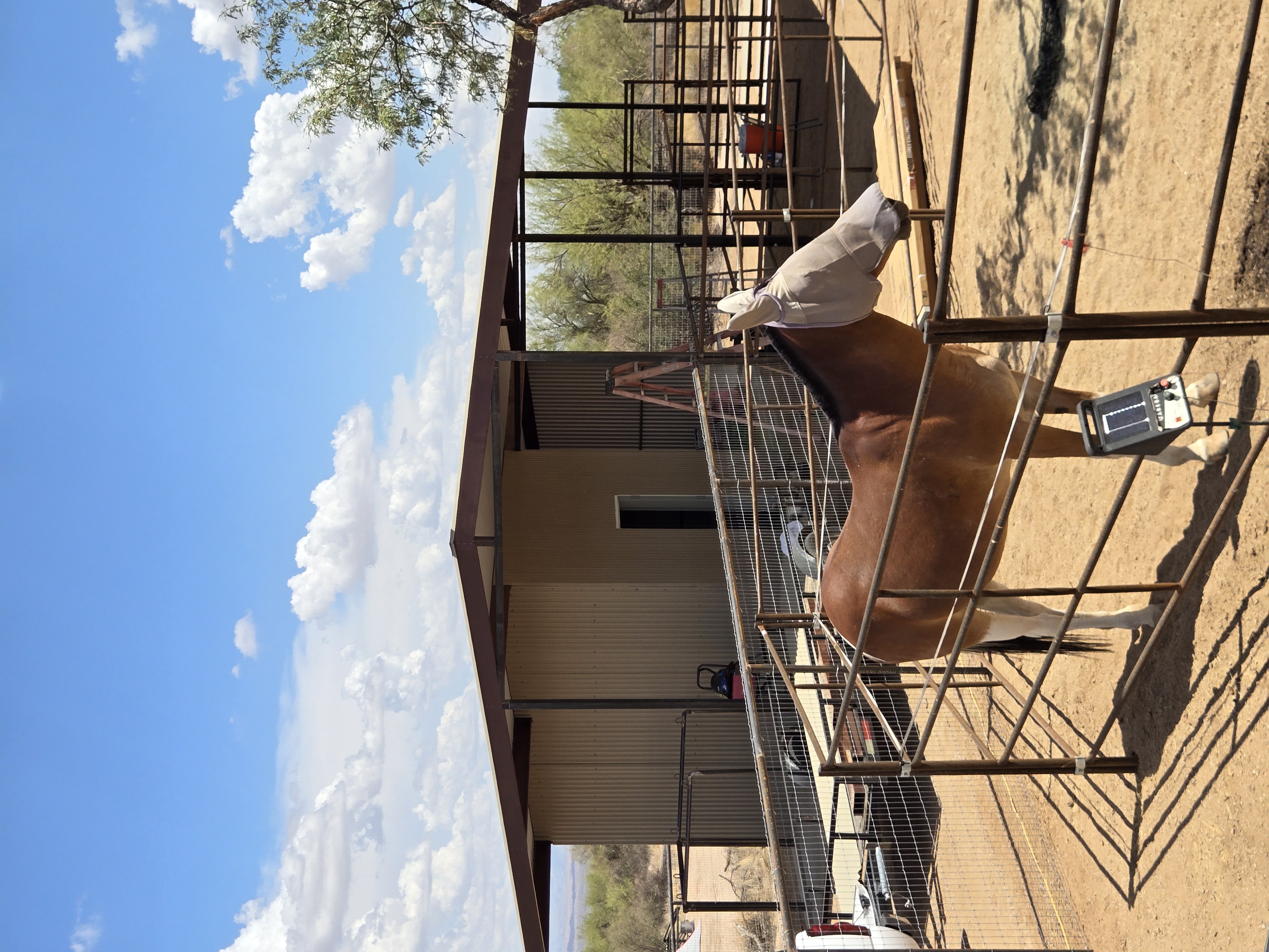 Luxury Mare Motel